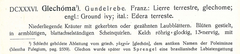 Gundermann